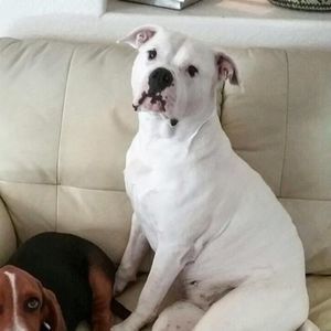 Meet your Posher, Selyna